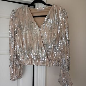 Shimmering Sequin Blouse - Silver and Tan Size XL